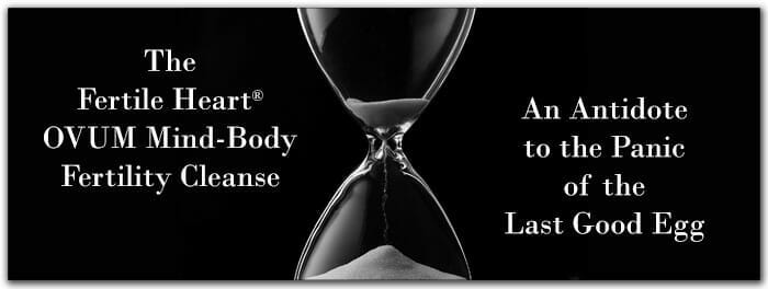 The Fertile Heart Mind-Body Fertility Cleanse Hourglass